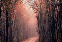 kaiyun官网：科索沃-冰岛，雷克斯贝卡伊破门，德洛瓦建功.