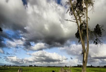 2024年中国篮球名人堂入堂仪式举行 巩晓彬正式入堂.