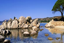 刘炜：我们现在是拼上海的姿态 没有过多考虑排名结果.